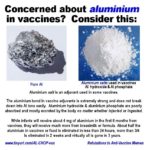 Is aluminum in vaccine absorbed or eliminated?