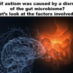 What if autism was caused by a disruption of the gut microbiome?