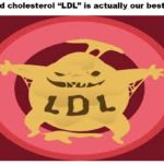 The bad cholesterol: a new perspective!