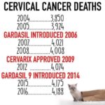 HPV vaccine: the biggest medical fraud in history