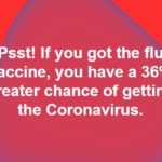 The flu shot increases by 36% the risk of having the coronavirus.