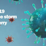 Cytokine storm, elderberry, and coronavirus: should we be concerned?